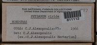Image Associated With the Occurence